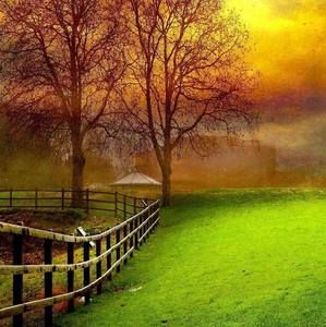 Meet your Posher, Dianne